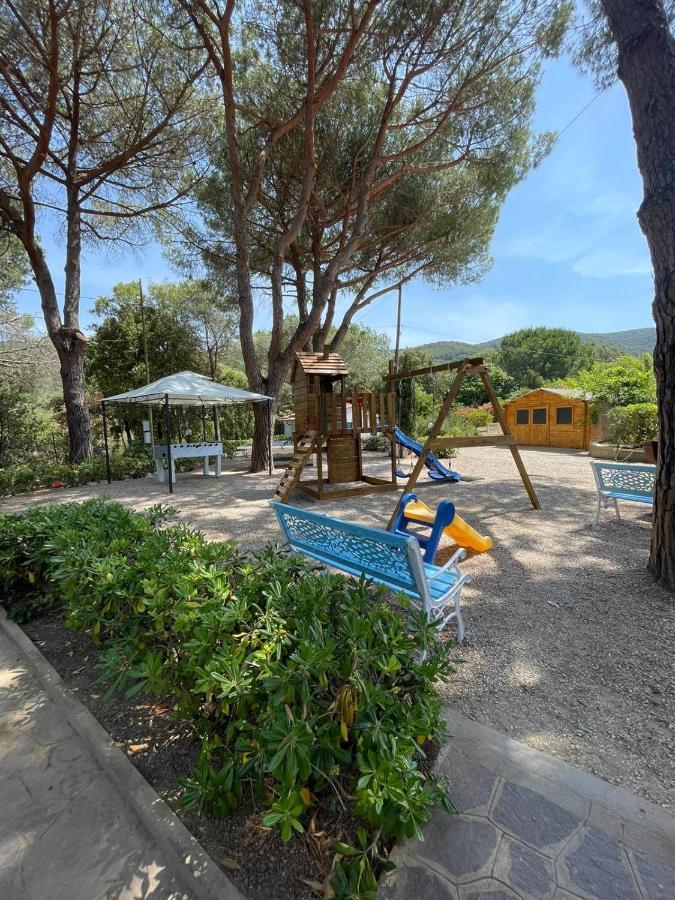 Brigantino Procchio (Isola d'Elba)